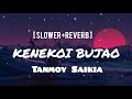 Kenekoi Bujao by Tanmoy Saikia [ slower+reverb ] Lofi Song #buddies