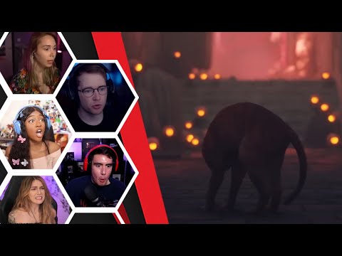 Lets Player's Reaction To The Very First Zerk Chase Sequence - Stray