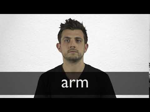 Arm Definition And Meaning Collins English Dictionary
