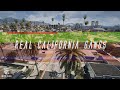 Real California Gangs for World of Variety [ Peds | Graffiti | 2 options ] 13