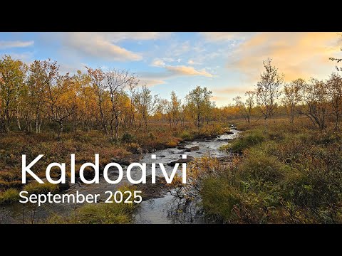 Hiking through Kaldoaivi wilderness area. Autumn colors. Fishing. Northern Lights. No talking.