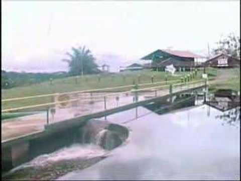 Pelotão Especial de Fronteira-Querari