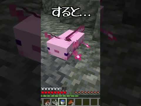 インキュベーターとしての温泉