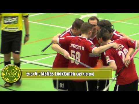 Maalikooste LNM - Josba 13.2.2016