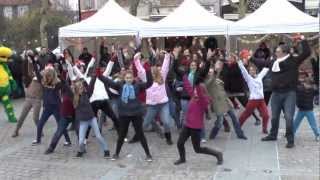 Flash Mob Draveil 2012 - "The Dirty Side of the Street" by Caravan Palace