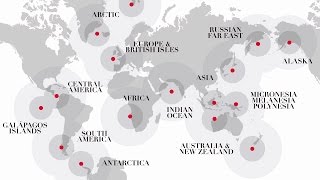Expeditionen mit Silversea Expeditionen mit Silversea