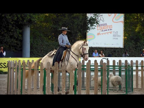 World championship of working equitation- Maneability - Nicole e Inca