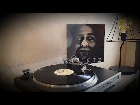 Morawski, Waglewski, Nowicki, Hołdys - Świnie - winyl