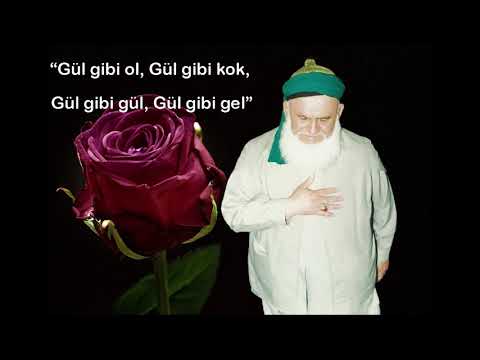 DERMAN ABDULLAH BABAMDIR 2014.11.17