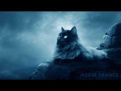 Duderstadt vs Store N Forward - Broken (Dennis Sheperd Remix) HD