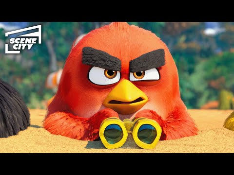Red’s Not Ready to Give Up the Spotlight | The Angry Birds Movie 2 (Jason Sudeikis, Bill Hader)