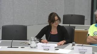 Inbreng rondetafelgesprek van Steffie van Horck