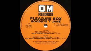 Pleasure Box - Take Me To The Chamber Of Dreams (E-Zone Mix) (1993)