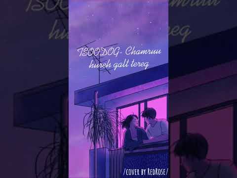 Tsoodog ft. Gerelttsoh- Chamruu hureh galt tereg ( cover by ROSETTA )