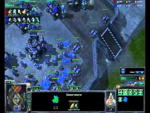 PvT whitera vs lucifron