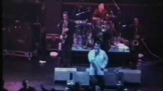 The Mighty Mighty Bosstones-Someday I Suppose/Another Drinkin&#39; Song[Live London 1998]