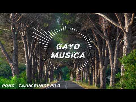 Lagu Gayo Pong - Tajuk Bunge Pilo