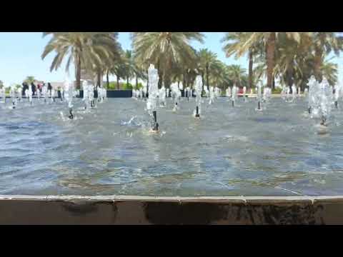 #dxb #abudhabi #mosque #water