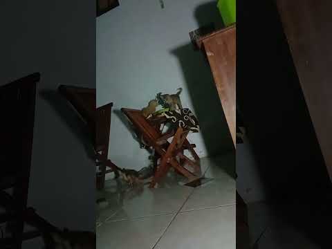 TDK bersaudara asyik bercengkrama