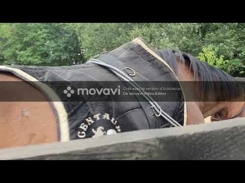 AQPS ISSU DES COURSE DE STEEP REDRESSAGE