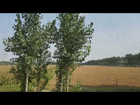 On the road to Tengzhou