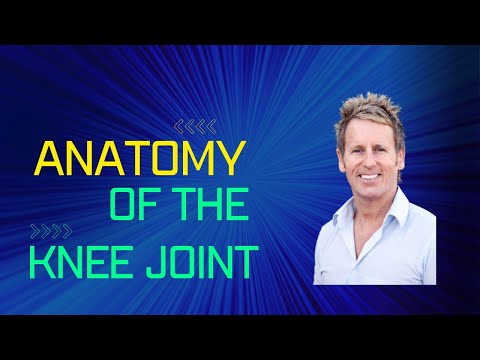 Functional Anatomy of the Knee Joint by John Gibbons