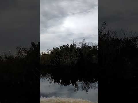Bora atrás dos peixes Rio mimoso barão de melgaço MT mato grosso #pescaria #cuiabá #pacu #pintado