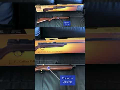 Beeman QB78S Co2 Air Rifle