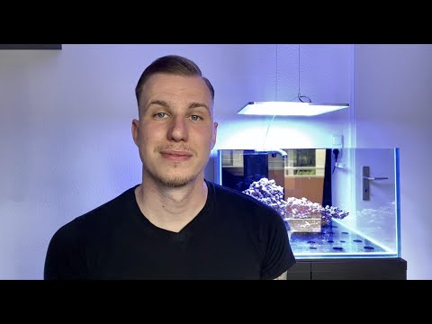 You're a part of all this!  #reeftank #aquarium #saltwateraquarium #reefersforreefs