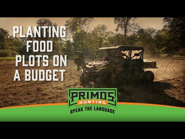 Food Plots on a Budget