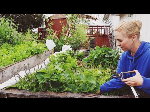How To Build A Pallet Raised Garden Bed From Scratch...And Turn It Into a Greenhouse
