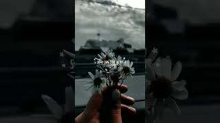 Download lagu payphone~ #aesthetic #edited #lyrics #lonelystar #payphone #maroon5 #maroon5payphone #lyricsedited mp3