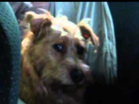 Kimbu Kimra - Raise the Dead (unknown mix) rare deep house