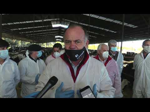 (VIDEO) Ministro del agro fiscaliza cuarentena bovina de exportación a China que se convierte en una nueva oportunidad de negocios en la provincia de Linares