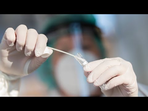 WHO warns of “very high risk” of the Omicron variant