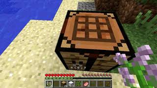 1パートごとに性格が変わるマインクラフト　虚無編END