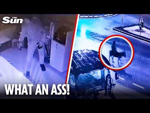 Moment robber SMASHES FORKLIFT into jewellery store & rides off on a DONKEY after raid