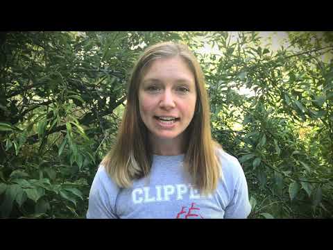 Sturgeon Bay School District Commitment to Caring