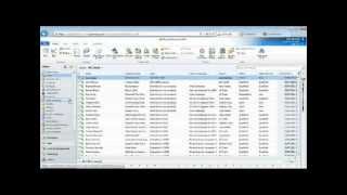 Business Dynamics CRM Ireland Video - Sales