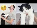 Adorable Cats Spin Trend Spinning Challenge