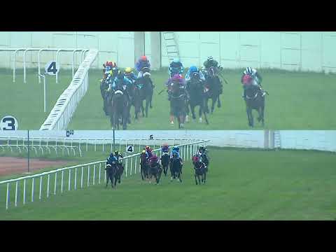 THRILL OF BRAZIL : THE NAGARAJUNA SAGAR PLATE (43)