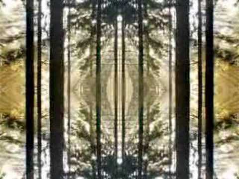 Erdennacht - Forseti