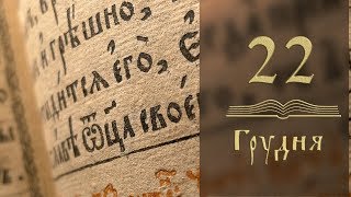 Євангеліє щодня. Притча про гірчичне зерно – алегорія Царства Небесного (+відео)