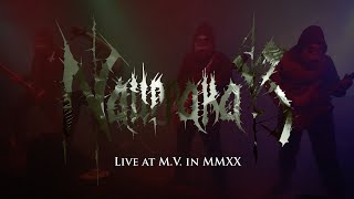 Video Live at M.V. in MMXX