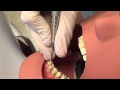 IMG 33502
