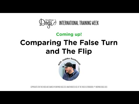 International Training Week: Comparing the False-Turn and the Flip