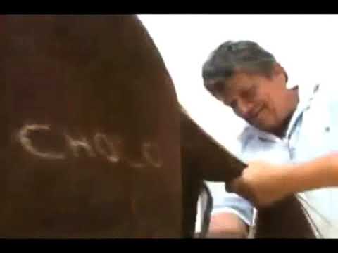 CANCIONES DEL LLANO ADENTRO VENEZUELA