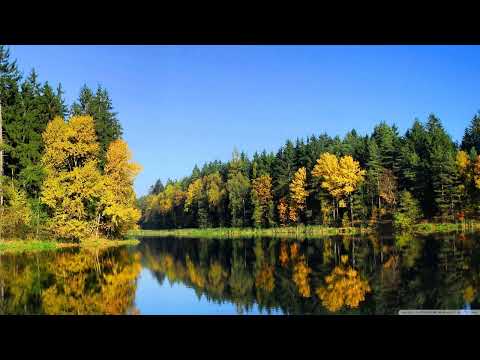 Ronski Speed, Stargazers, Katty Heath - Follow My Heart [Amsterdam Trance]