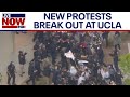 New Gaza war protest erupts at UCLA as chancellor testifies before Congress | LiveNOW from FOX