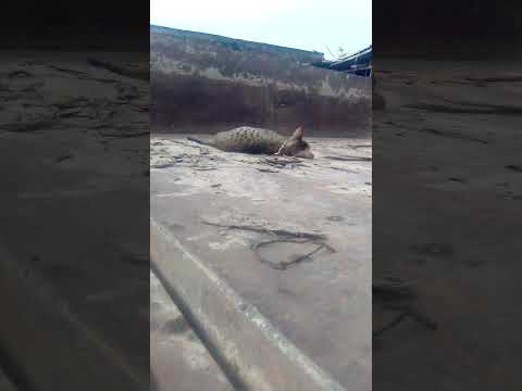 26 सितंबर 2023